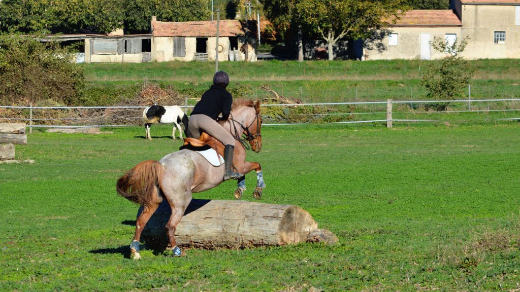 Photos - Club Hippique Des Pinchinats