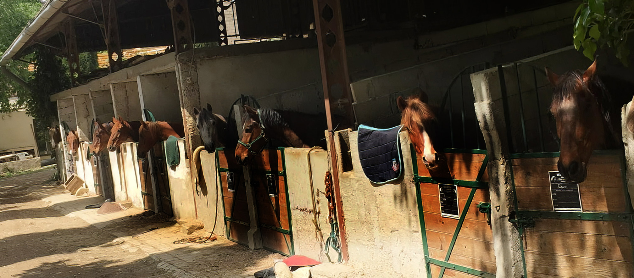 Club hippique des Pinchinats à Aix-en-Provence